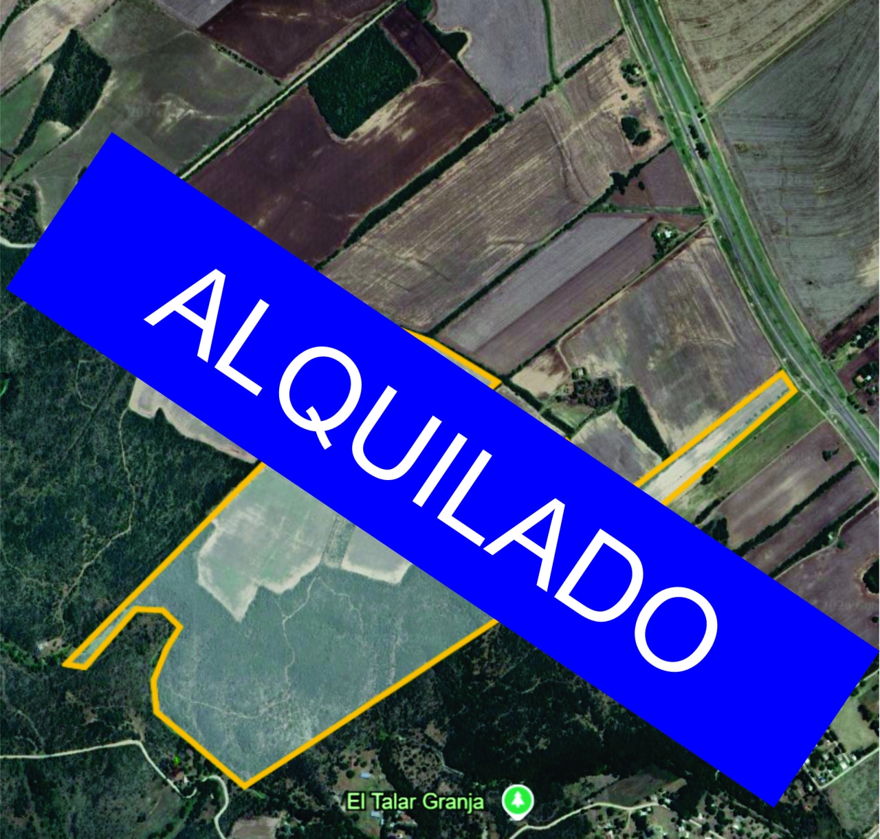 Sin título-1