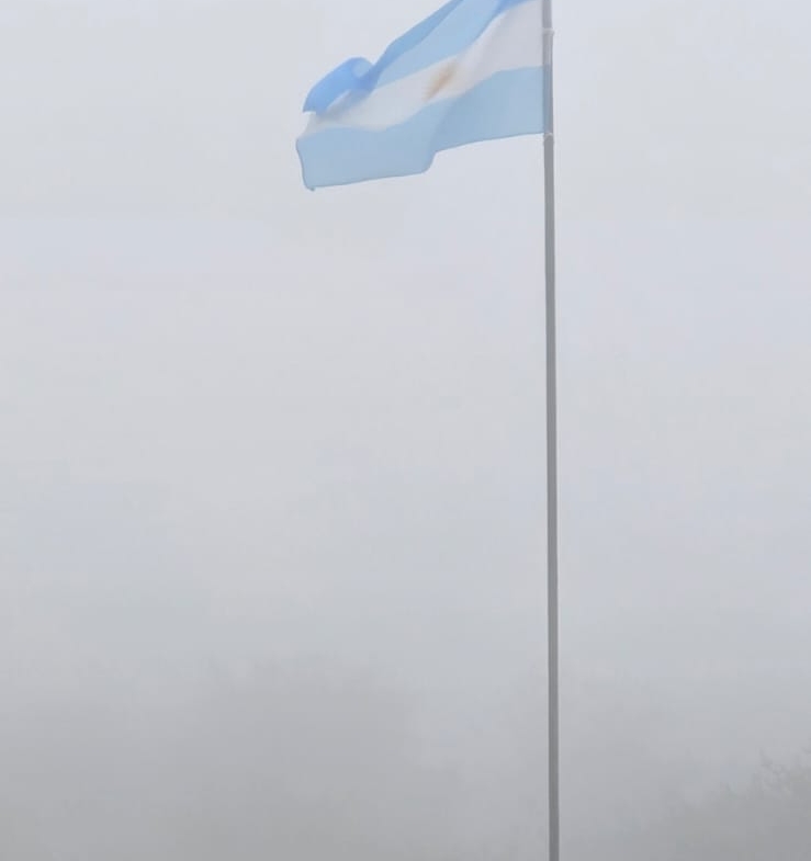 739